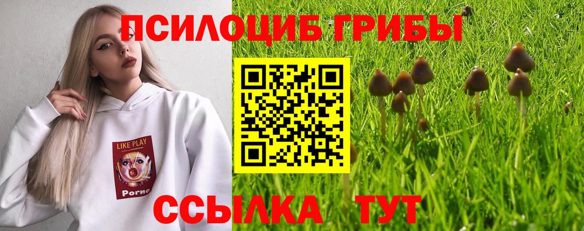 Галлюциногенные грибы Cubensis Назрань
