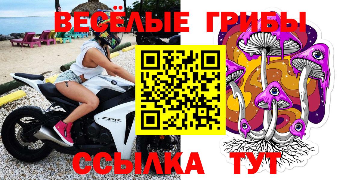 Назрань  Псилоцибиновые грибы Psilocybine cubensis  Вход с VPN 